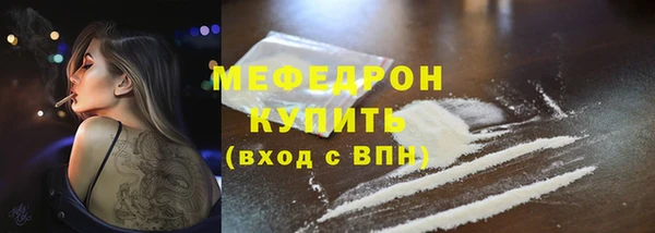 трава Няндома