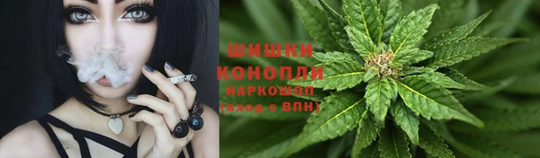 соль курить ск Новодвинск