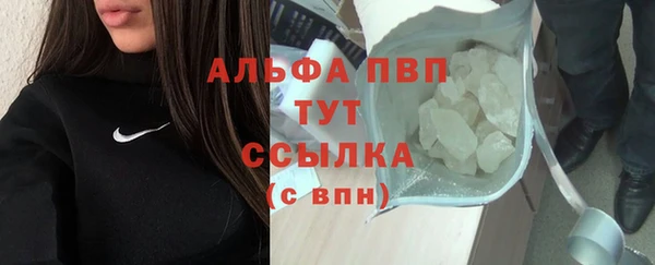 трава Няндома