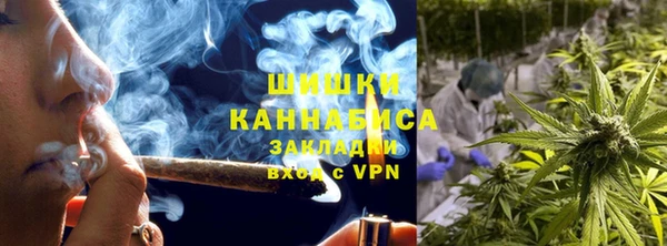 трава Няндома
