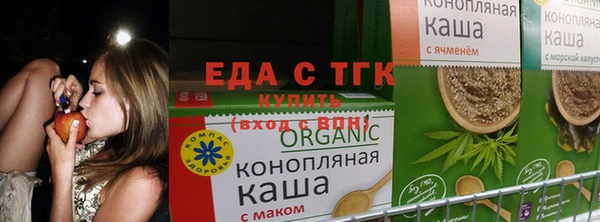 трава Няндома