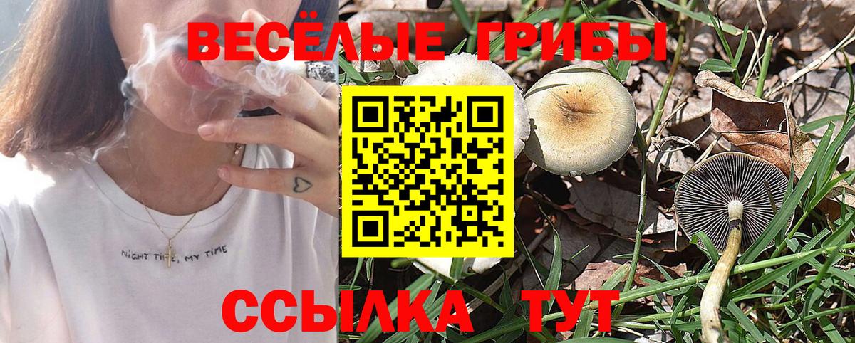 Галлюциногенные грибы GOLDEN TEACHER Ишимбай