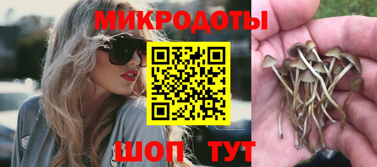Галлюциногенные грибы Magic Shrooms Ишимбай
